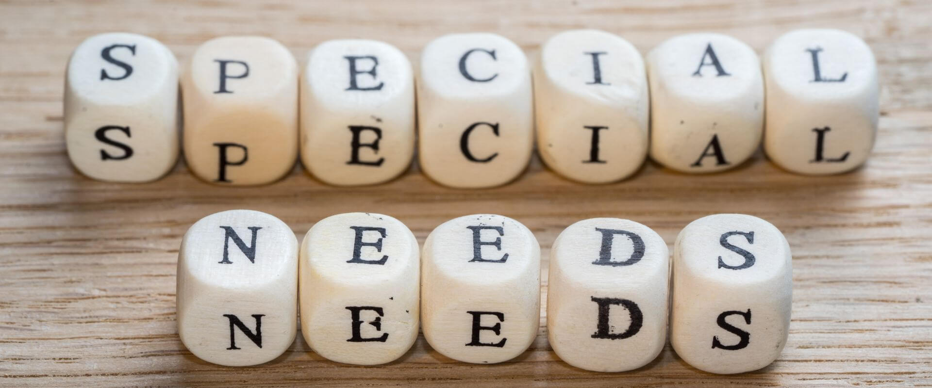 What is Special Needs Plan